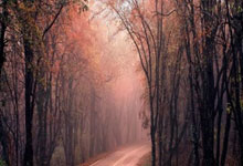 U20国足7场热身赛冲刺亚洲杯 对手卡塔尔同步集训.