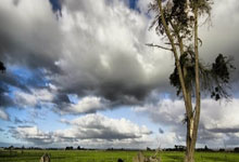 虎扑手机网：[CBA]总决赛5月22日：新疆VS辽宁 集锦.